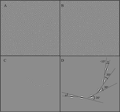 The Effect of Local Orientation Change on the Detection of Contours Defined by Constant Curvature: Psychophysics and Image Statistics